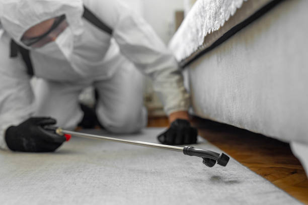 Professional Termite Control technician working in Rosepine, LA
