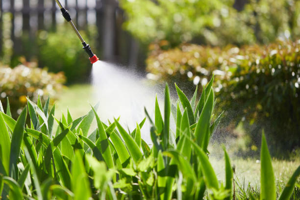 24/7 Emergency Termite Control experts in Rosepine, LA